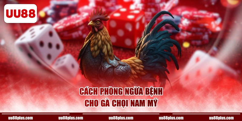 Cách phòng ngừa bệnh cho gà chọi Nam Mỹ