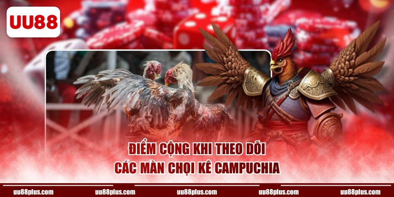 Điểm cộng khi theo dõi các màn chọi kê Campuchia