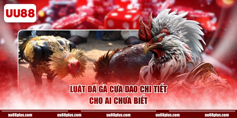 Luật đá gà cựa dao chi tiết cho ai chưa biết