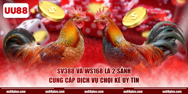 SV388 và WS168 là 2 sảnh cung cấp dịch vụ chọi kê uy tín