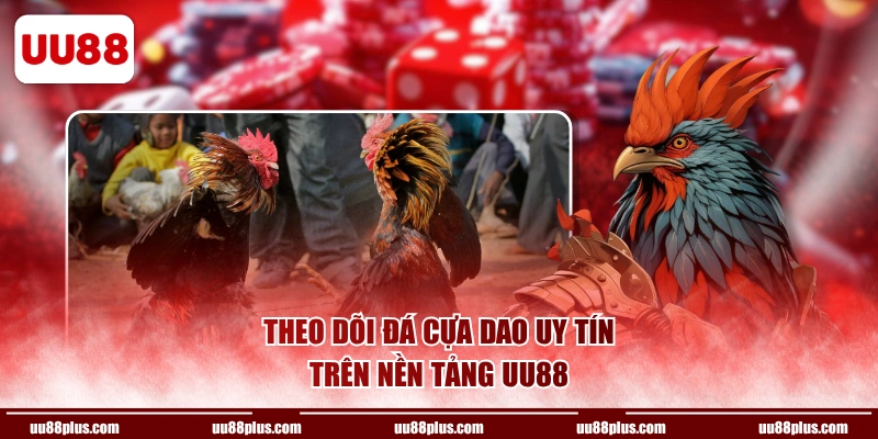 Theo dõi đá cựa dao uy tín trên nền tảng UU88